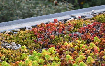 the cost of Dunton green roof installation