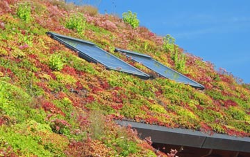 Dunton living roof systems