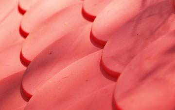 Dunton plastic roof costs