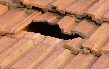 roof repair Dunton