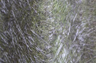 Dunton fibreglass roof work